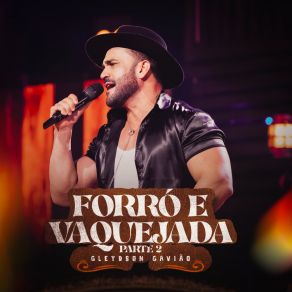 Forró E Vaquejada - Parte 2 album cover