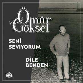 Seni Seviyorum - Dile Benden album cover