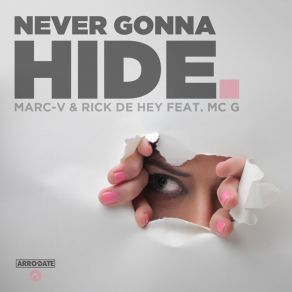 Never Gonna Hide album cover