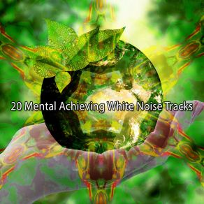 20 Mental Achieving White Noise Tracks album cover