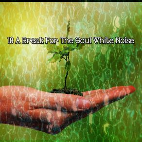 18 A Break For The Soul White Noise album cover
