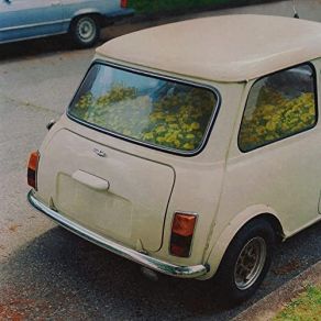 Dandelion (Deluxe Edition) album cover