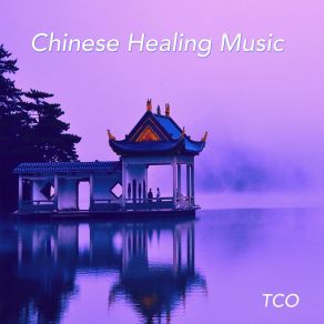 Chinese Healing Music album cover