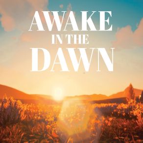 Awake In The Dawn album cover