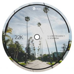22K album cover