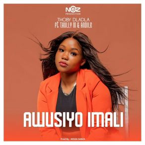 Awusiyo Imali album cover