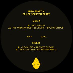Revolution album cover