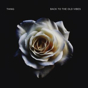 Back To The Old Vibes album cover