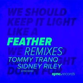 Feather (Remixes) album cover