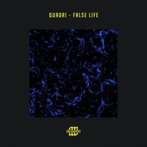 False Life album cover