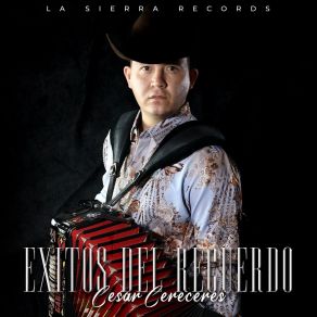 Exitos Del Recuerdo album cover
