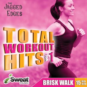 Total Workout Hits Vol. 1 album cover