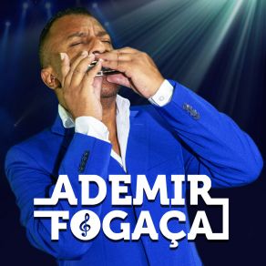 Ademir Fogaça & Amigos, Vol. 1 album cover