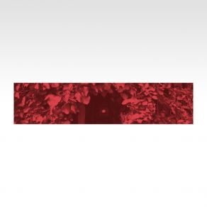 Dream In Red album cover