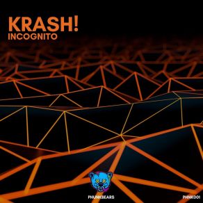 Incognito album cover