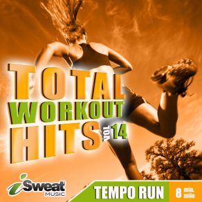 Total Workout Hits, Vol. 14 album cover