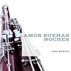 Amor Buenas Noches album cover