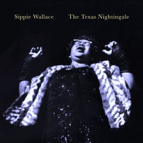 The Texas Nightingale album cover