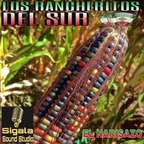 Vol 3-El Narizazo album cover