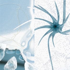 Arctic Beats 2 album cover