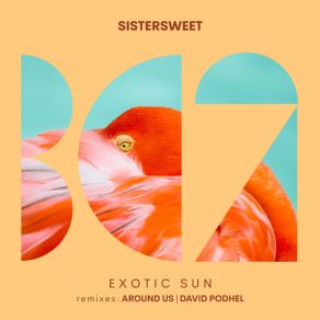 Exotic Sun album cover