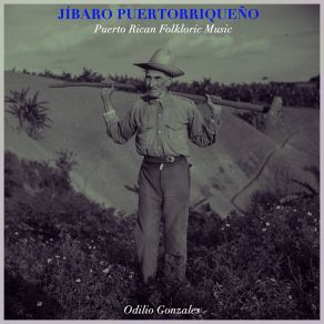 Jíbaro Puertorriqueño - Puerto Rican Folkloric Music album cover