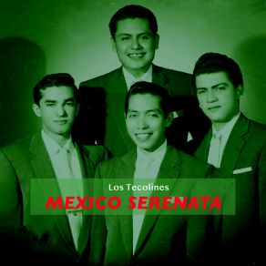 Mexico Serenata album cover