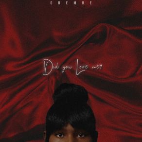 Did You Love Me? album cover