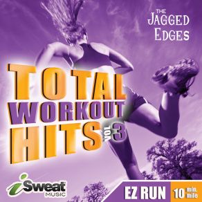 Total Workout Hits Vol. 3 album cover