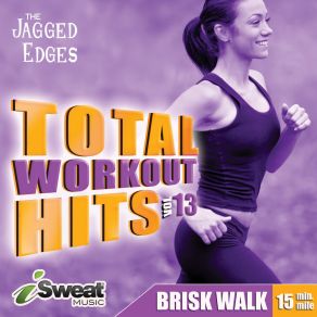 Total Workout Hits Vol. 13 album cover