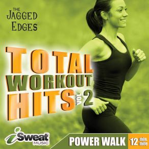 Total Workout Hits Vol. 2 album cover