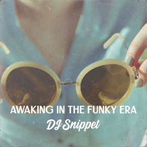 Awaking In The Funky Era album cover