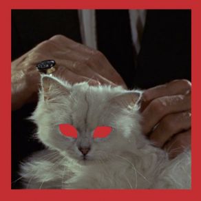 PET album cover