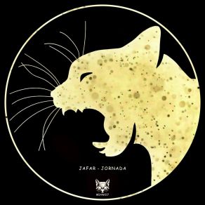 Jornada (Original Mix) album cover