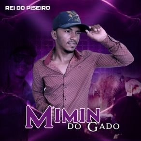 Rei Do Piseiro album cover