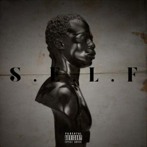 S. E. L. F. album cover