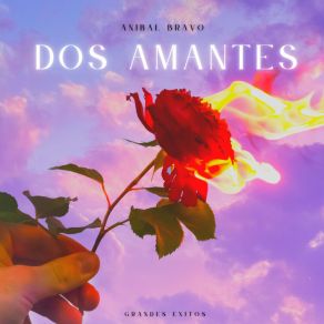 Dos Amantes Grandes Exitos album cover
