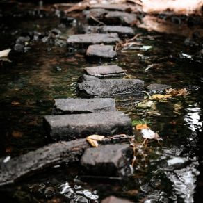 Stepping Stones album cover
