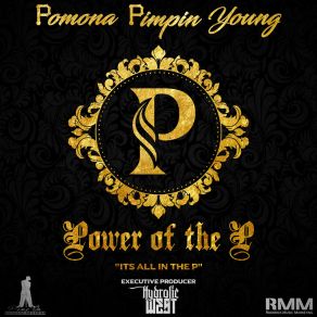 Power Of The P " It's All In The P " album cover