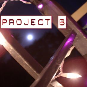 Project B album cover