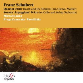 Franz Schubert: Quartet, D. 810 " Death And The Maiden ", Sonata Arpeggione, D. 821 album cover