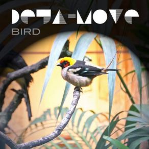 Bird album cover