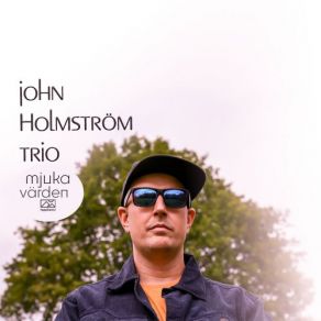 Mjuka Värden album cover
