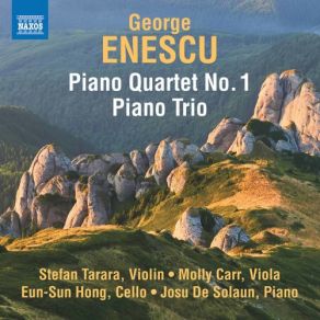 Enescu: Piano Quartet No. 1 In D Major, Op. 16 & Piano Trio In A Mino album cover