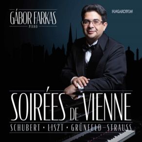 Soirées De Vienne album cover