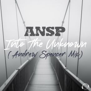 Into The Unknown (Andrew Spencer Mix) album cover