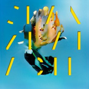 Shanzhai Acid album cover