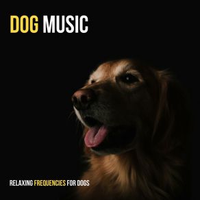 Relaxing Frequencies For Dogs album cover