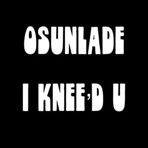 I Knee'd U album cover