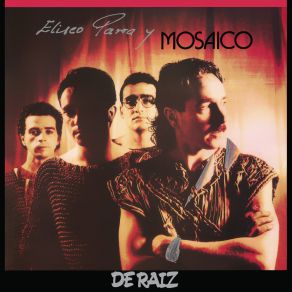 De Raiz album cover
